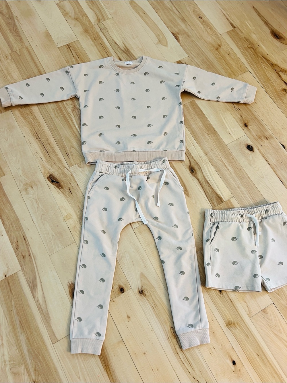 Jamie Kay Beige Sweatshirt & Jogger Set with Gray      Hedgehog Print